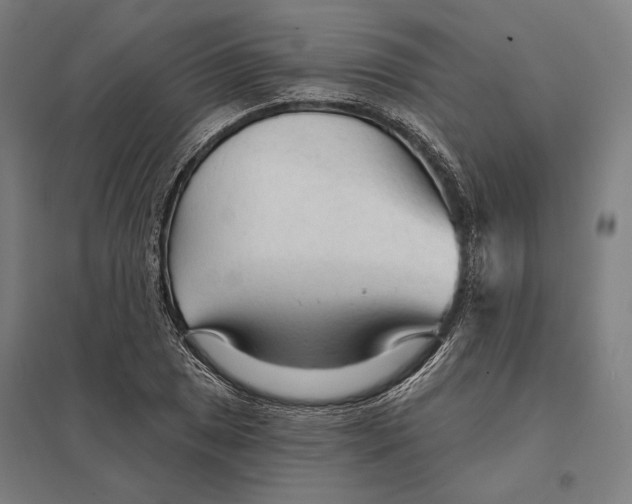 X0000097751025200803281605