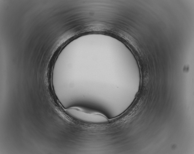 X0000097751026200803281605