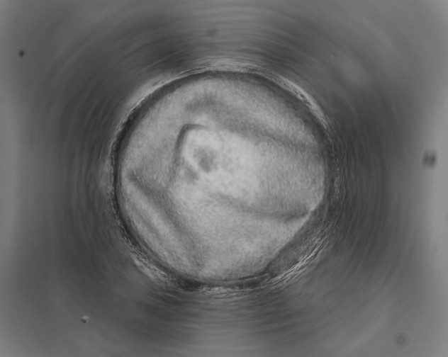 X0000097751027200803281605