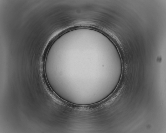 X0000097751029200803281605