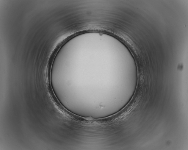 X0000097751030200803281605