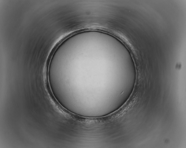 X0000097751032200803281605