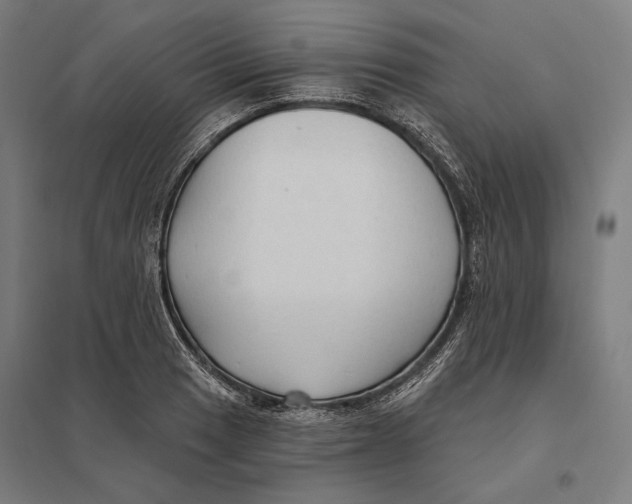 X0000097751033200803281605