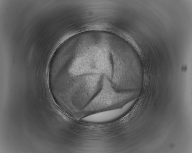 X0000097751035200803281605