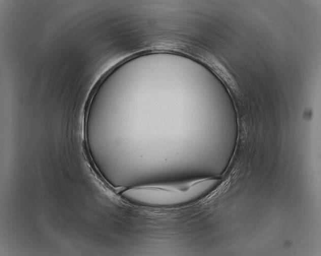 X0000097751036200803281605