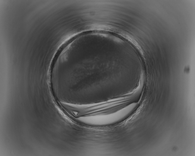 X0000097751037200803281605