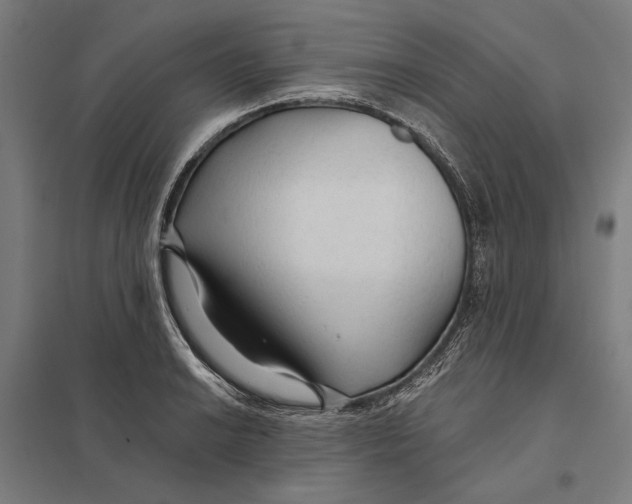 X0000097751038200803281605