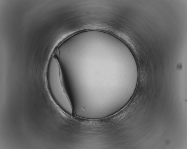 X0000097751040200803281605