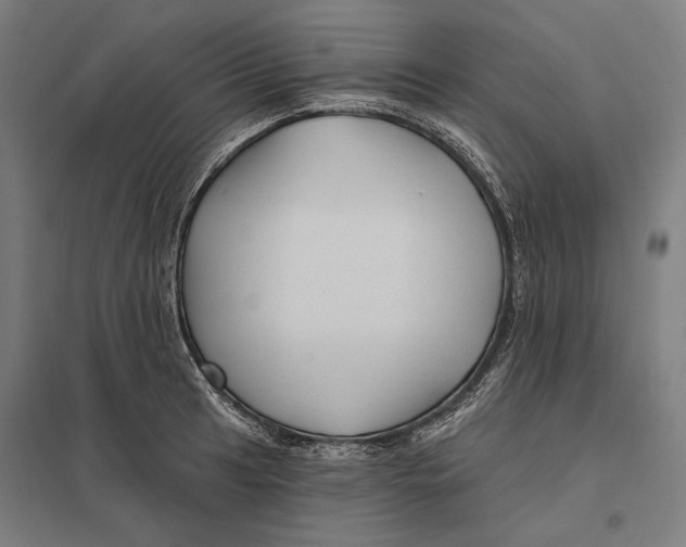 X0000097751041200803281605