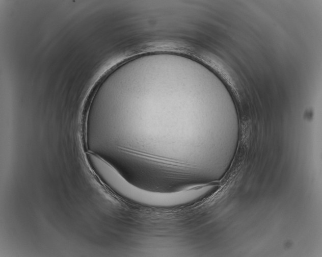 X0000097751043200803281605