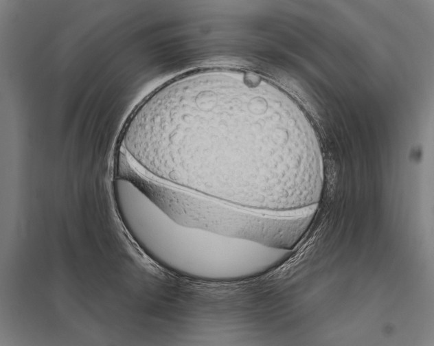 X0000097751044200803281605