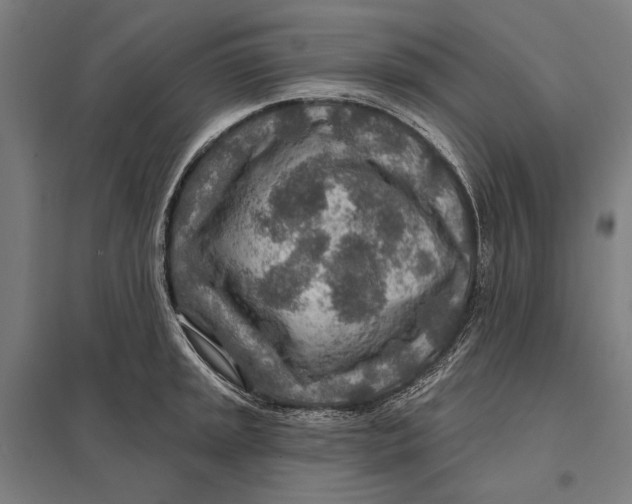 X0000097751045200803281605