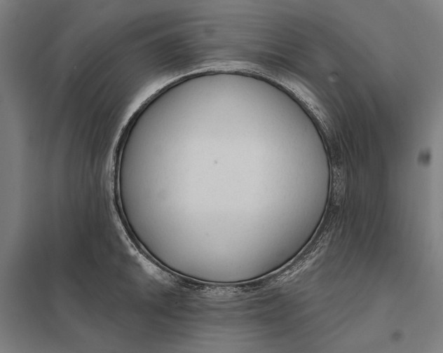 X0000097751046200803281605