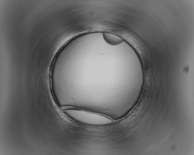 X0000097751047200803281605