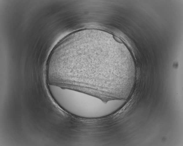 X0000097751048200803281605