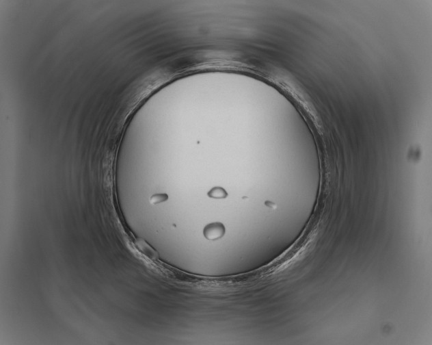 X0000097751049200803281605