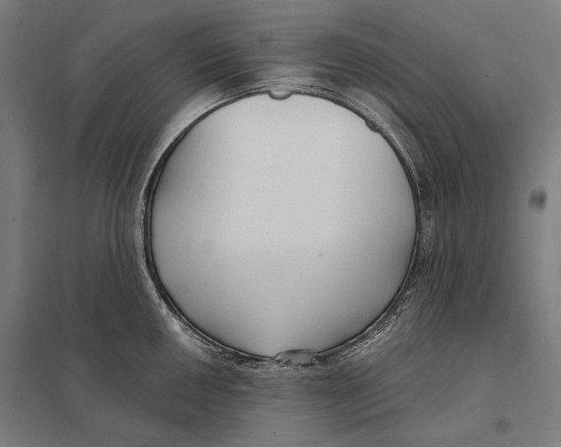 X0000097751050200803281605