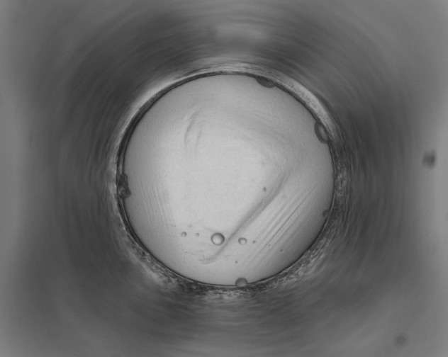 X0000097751051200803281605