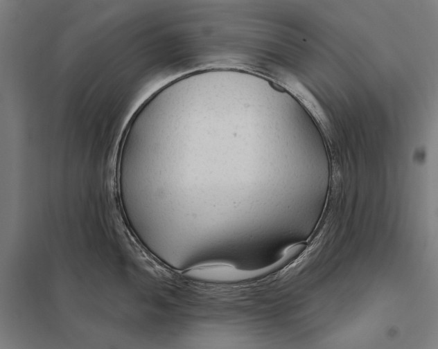 X0000097751052200803281605