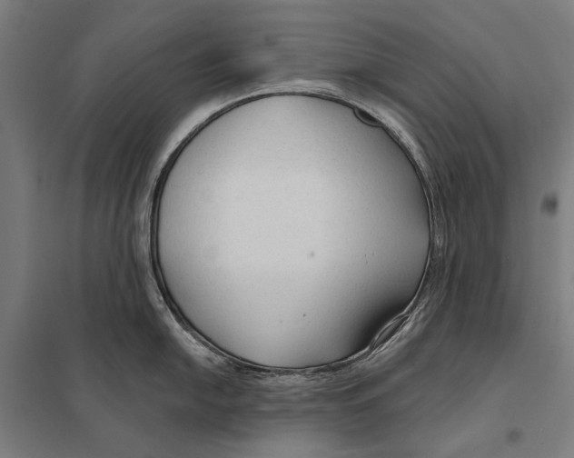 X0000097751054200803281605