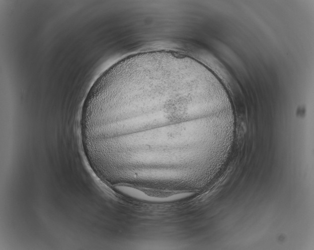 X0000097751055200803281605