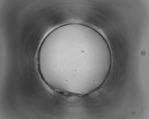 X0000097751056200803281605