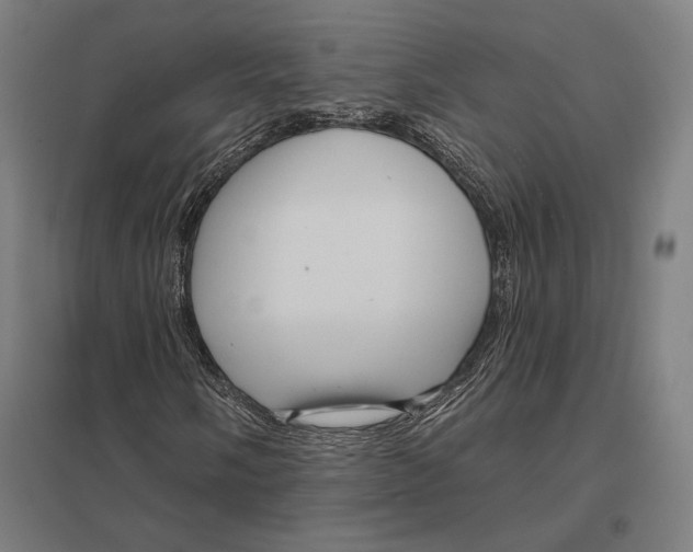 X0000097751058200803281604