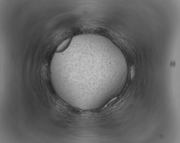 X0000097751059200803281604