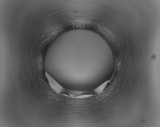 X0000097751060200803281604