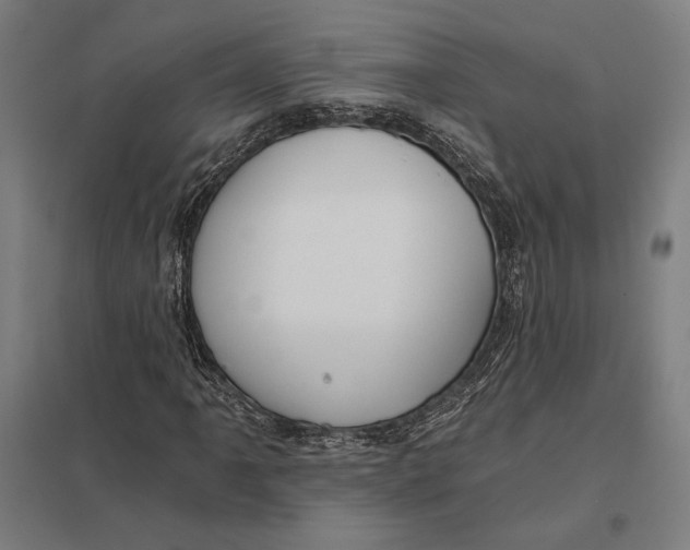 X0000097751061200803281604