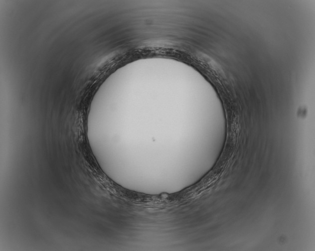 X0000097751062200803281604