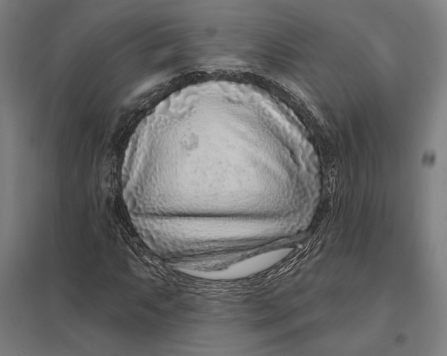 X0000097751063200803281604