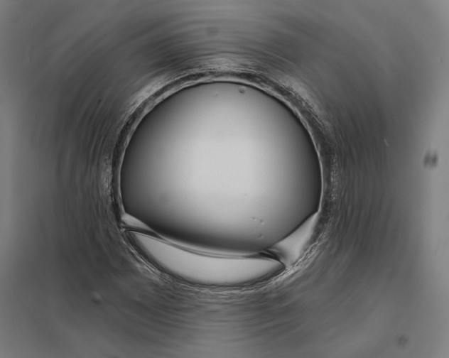 X0000097751065200803281604