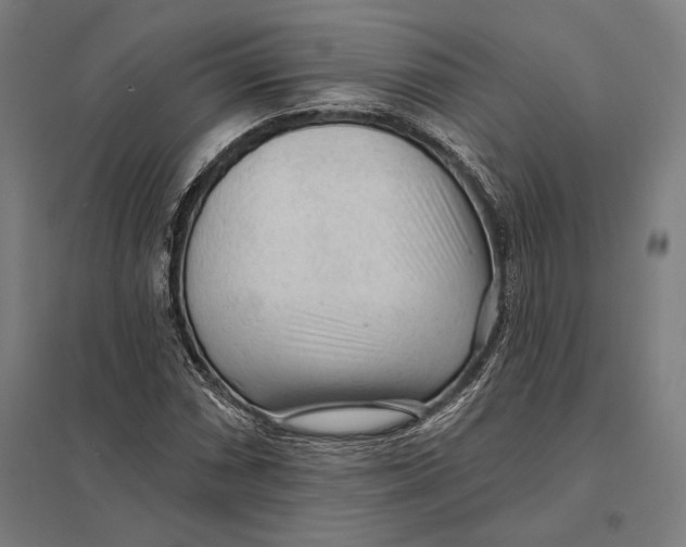 X0000097751066200803281604