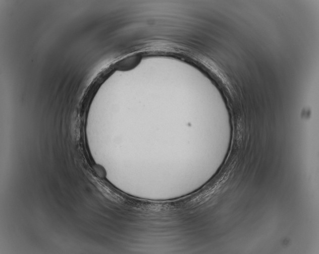 X0000097751067200803281604