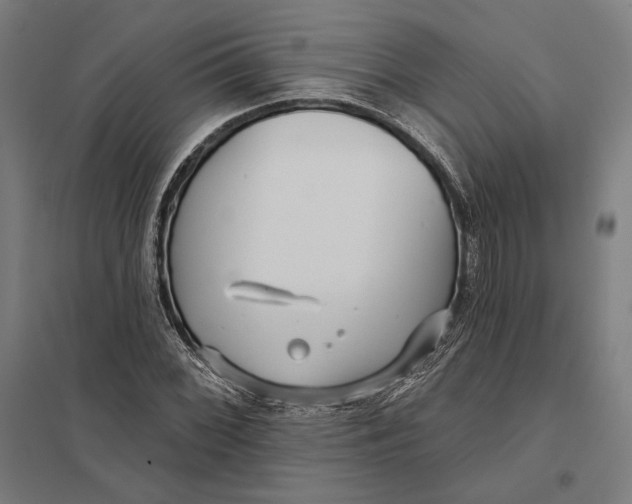 X0000097751068200803281604