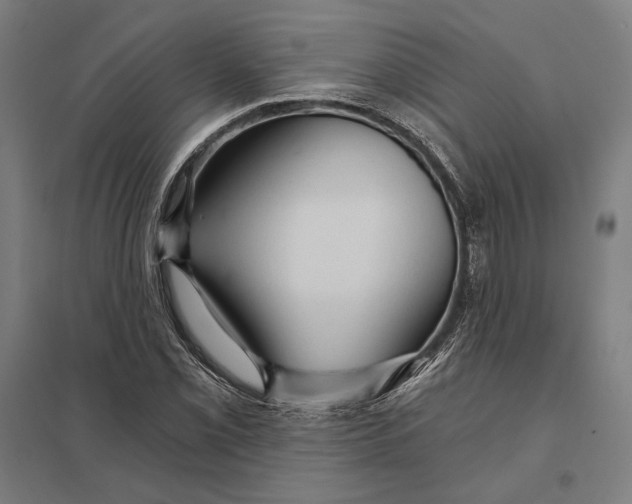 X0000097751069200803281604