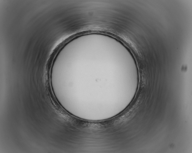 X0000097751070200803281604