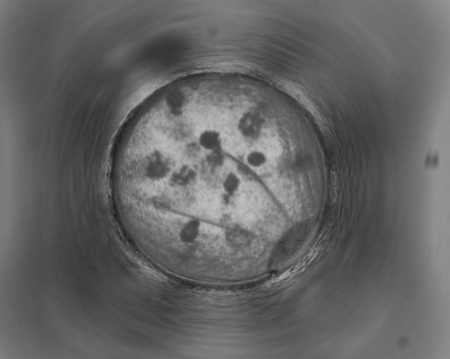 X0000097751071200803281604