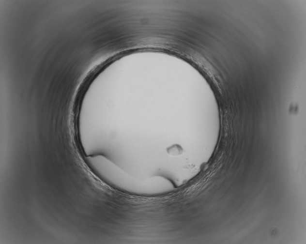 X0000097751072200803281604