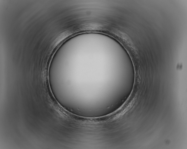 X0000097751073200803281604