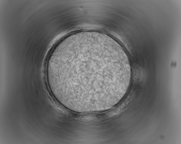 X0000097751074200803281604