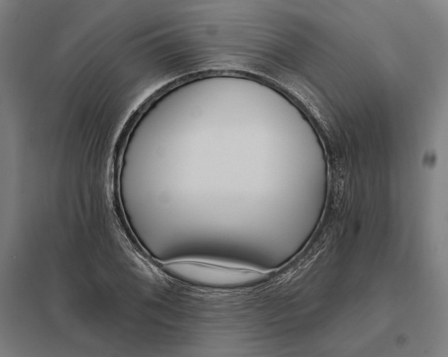 X0000097751076200803281604