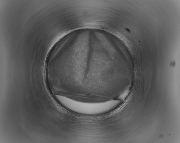 X0000097751077200803281604