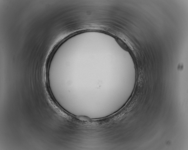 X0000097751080200803281604