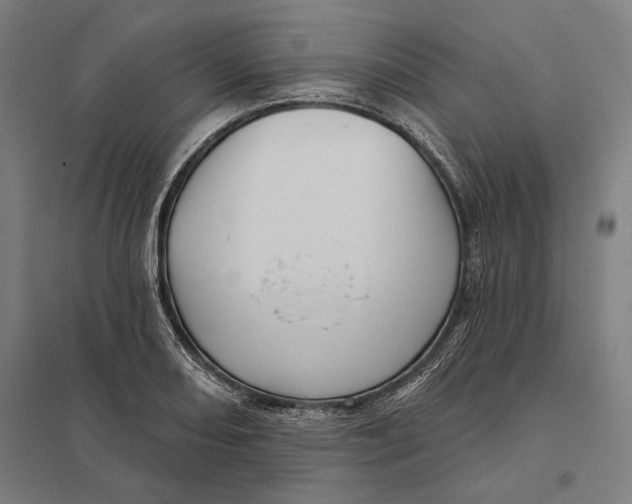 X0000097751082200803281604