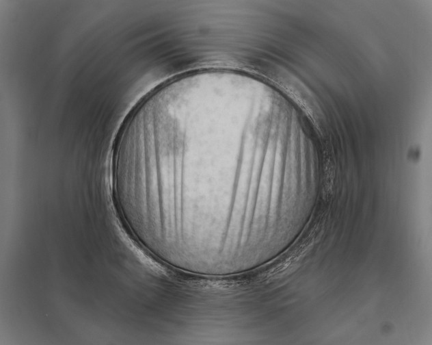 X0000097751084200803281604