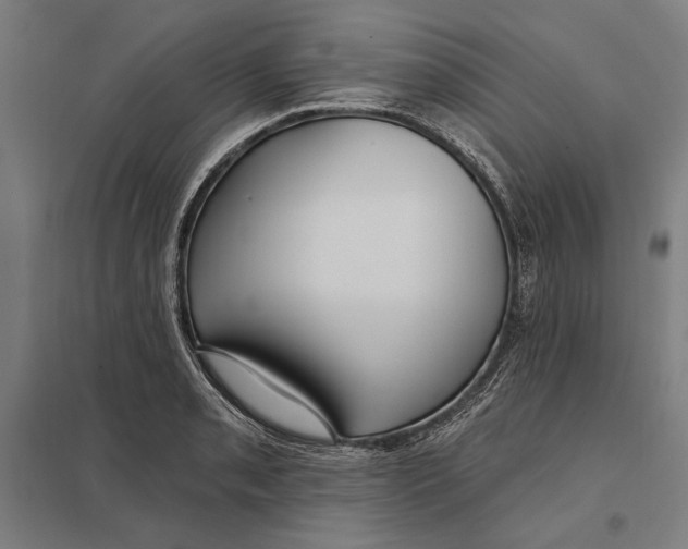 X0000097751085200803281604