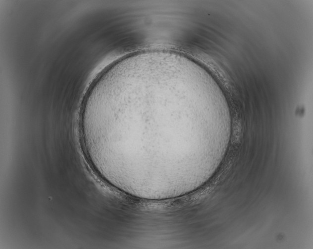 X0000097751086200803281604