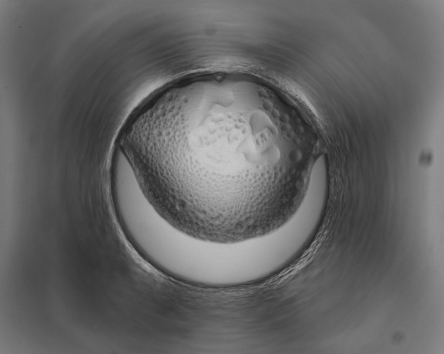 X0000097751087200803281604